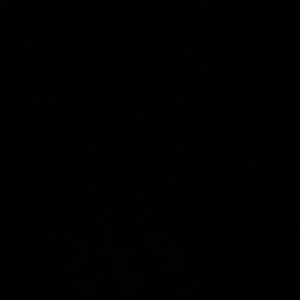 Meet your Posher, Ted